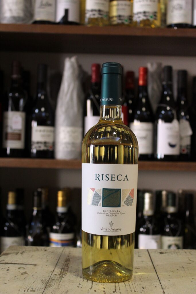 Riseca Vitis in Vulture