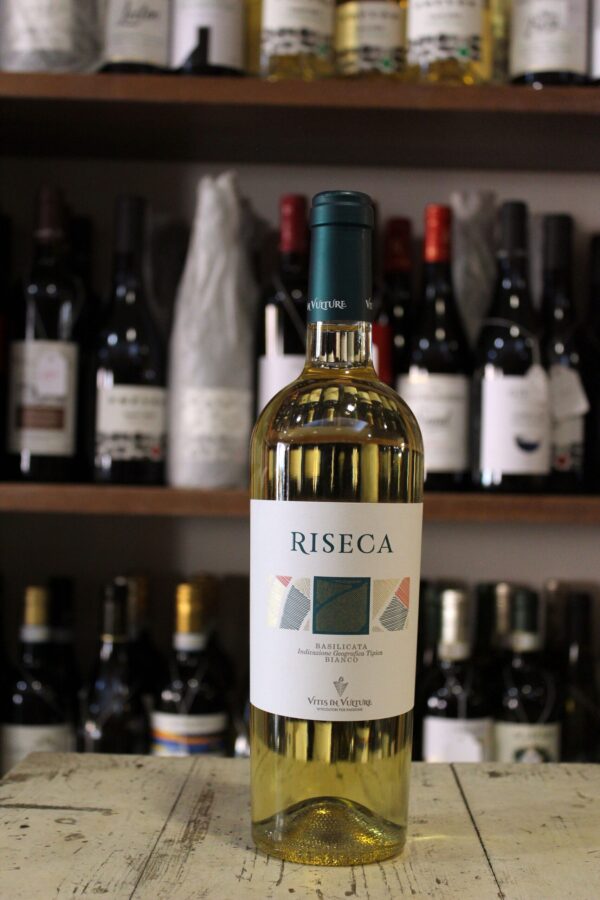 Riseca Vitis in Vulture